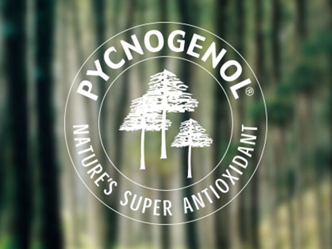 碧容健究竟是甚麼? en